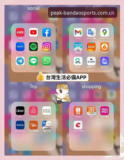 揭秘半岛app电脑版：资深用户亲测后的真实体验与使用技巧